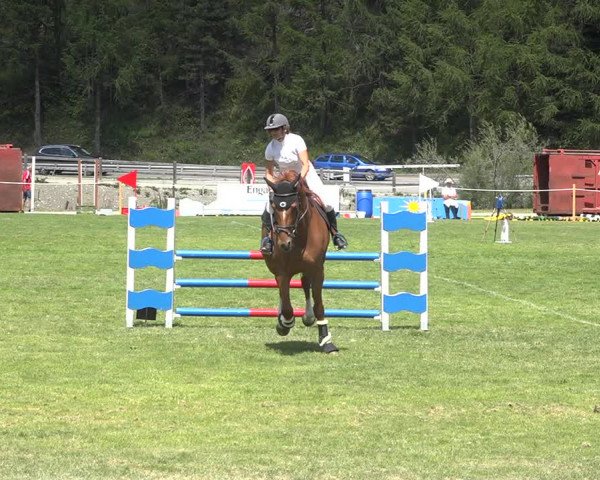 Reitturnier St. Moritz 2020