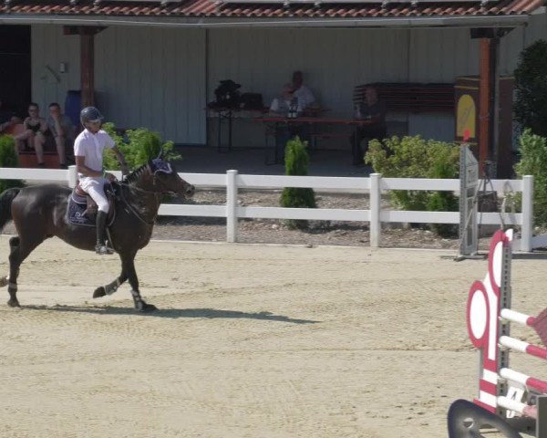 Reitturnier Leutkirch-Diepoldshofen 2020