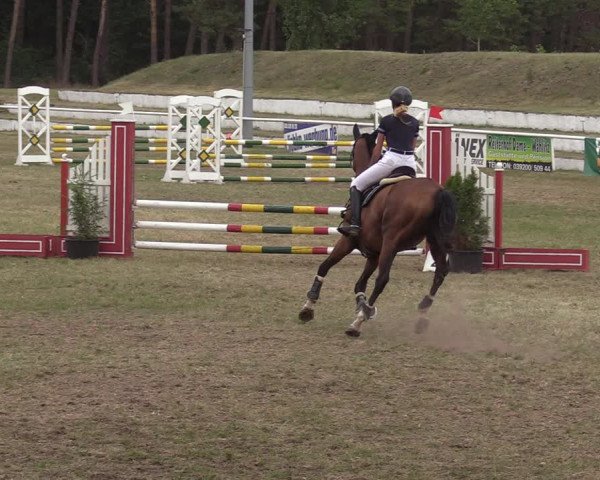 Reitturnier Wörmlitz 2020