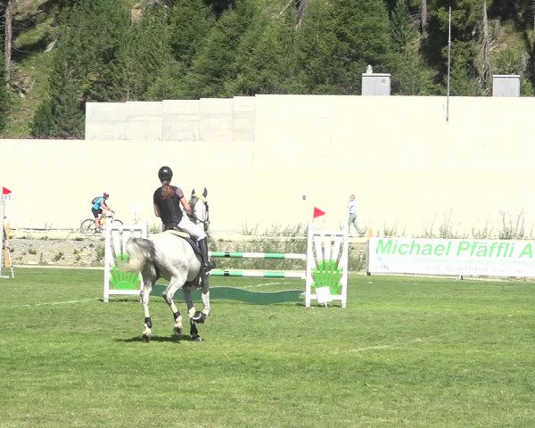 Reitturnier St. Moritz 2020