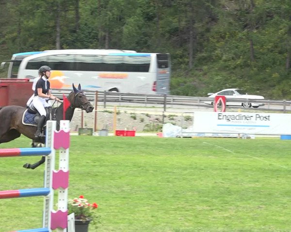 Reitturnier St. Moritz 2020