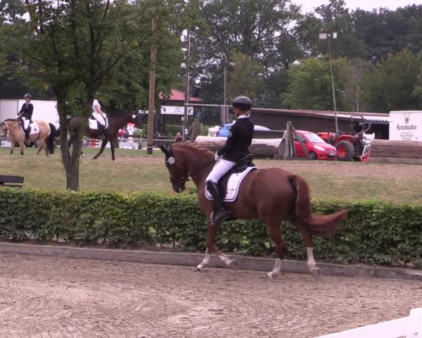 Reitturnier Olfen-Vinnum 2020