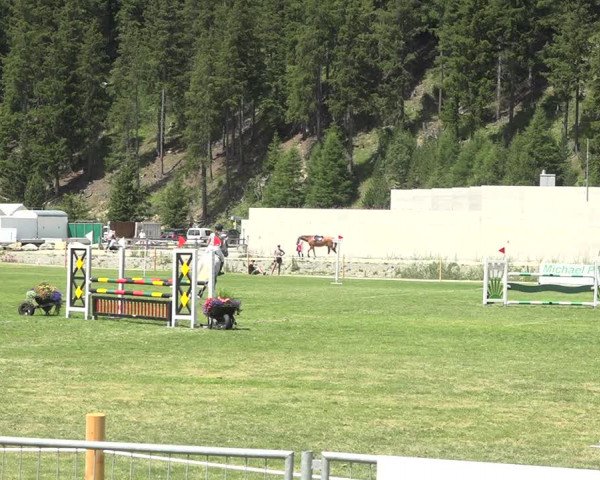 Reitturnier St. Moritz 2020