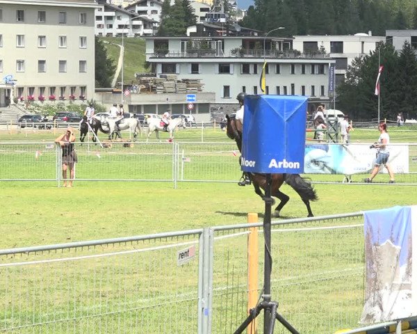 Reitturnier St. Moritz 2020