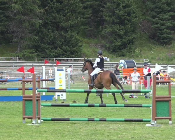 Reitturnier St. Moritz 2020