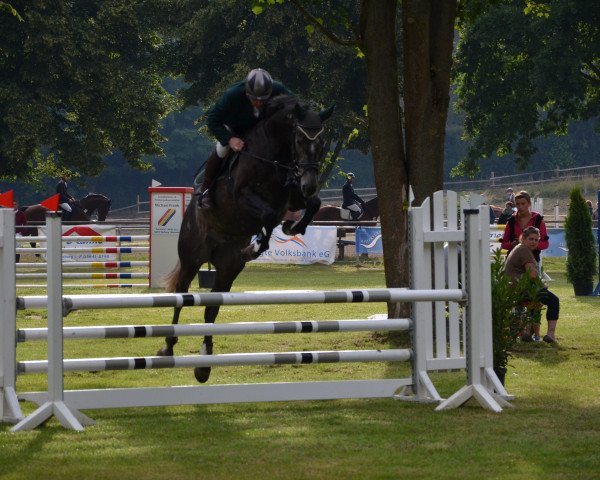 jumper Con Cantonius ZL (German Warmblood, 2010, from Cancoon)