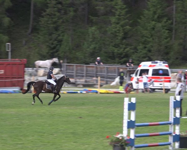 Reitturnier St. Moritz 2020
