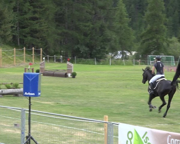 Reitturnier St. Moritz 2020