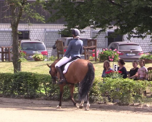 Reitturnier Olfen-Vinnum 2020