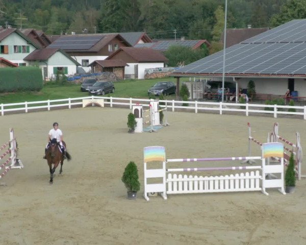 Reitturnier Leutkirch-Diepoldshofen 2020