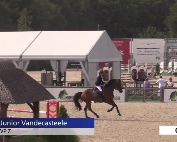 Jeugdfestival Lier 2020