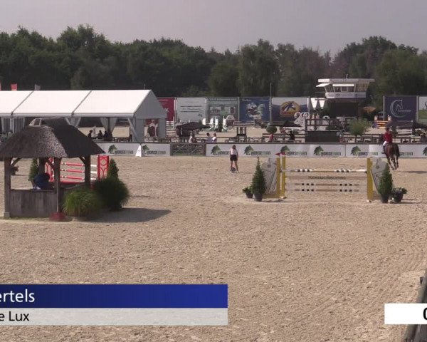 Jeugdfestival Lier 2020