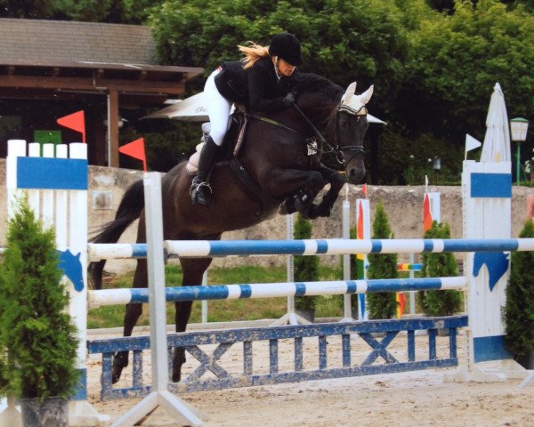 broodmare Shakira Epona (Zweibrücken, 2002, from Skatman)