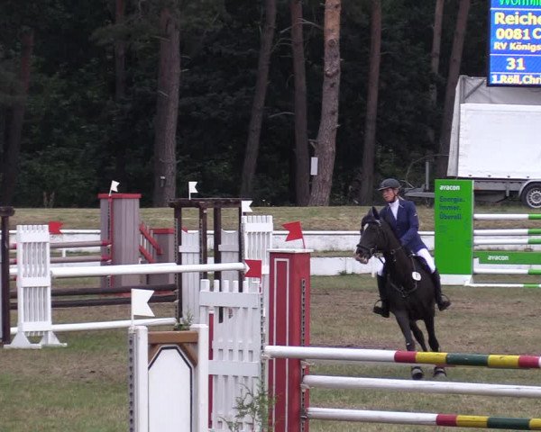 Reitturnier Wörmlitz 2020