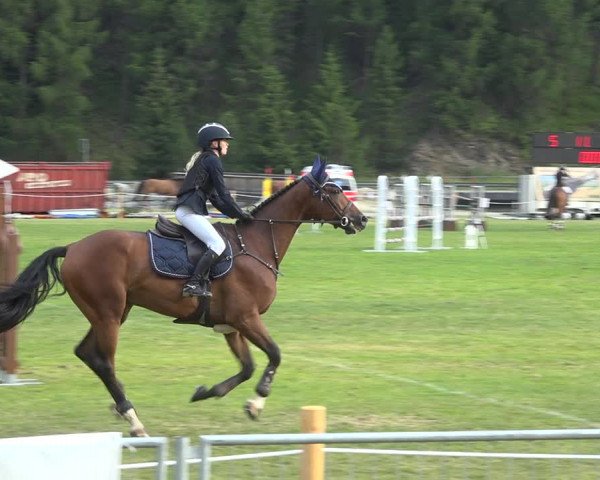 Reitturnier St. Moritz 2020