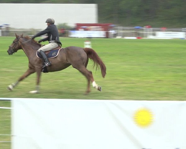 Reitturnier St. Moritz 2020