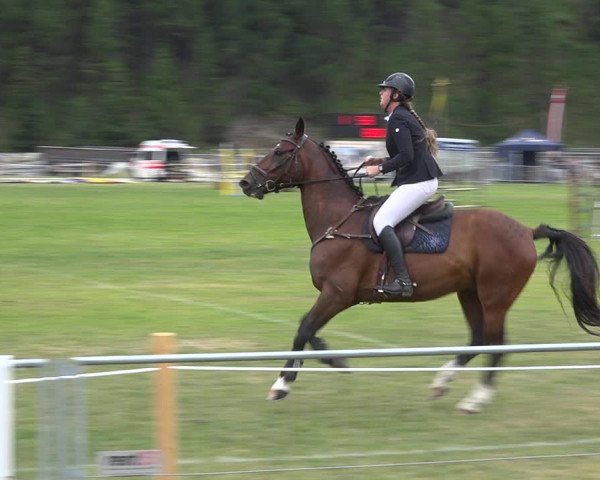 Reitturnier St. Moritz 2020