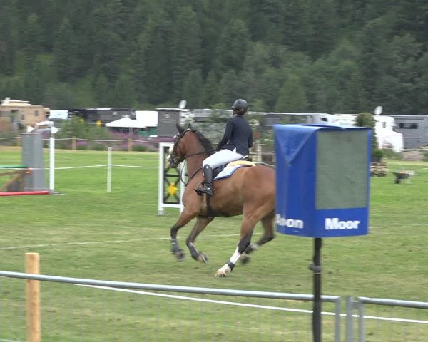 Reitturnier St. Moritz 2020