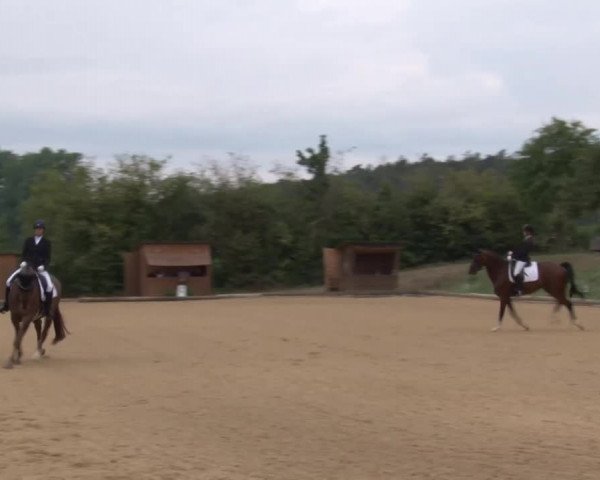 Reitturnier Brünst/Mfr. 2020