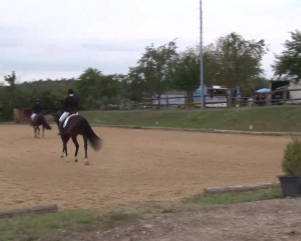 Reitturnier Brünst/Mfr. 2020