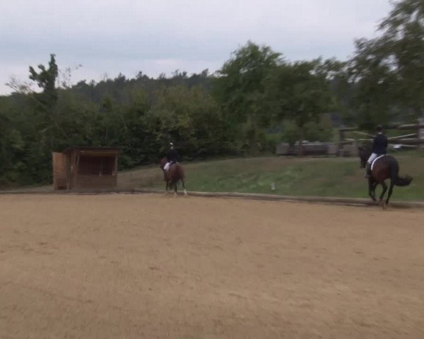 Reitturnier Brünst/Mfr. 2020