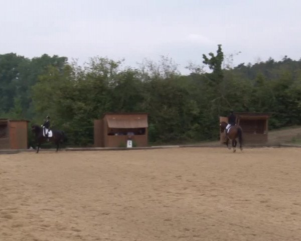 Reitturnier Brünst/Mfr. 2020