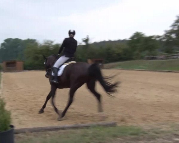 Reitturnier Brünst/Mfr. 2020