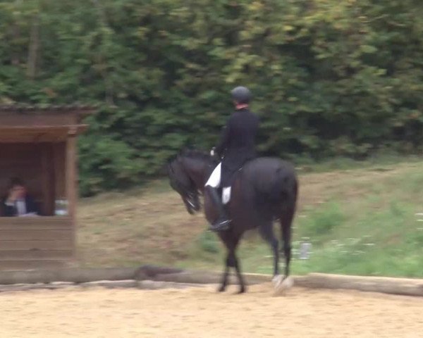 Reitturnier Brünst/Mfr. 2020