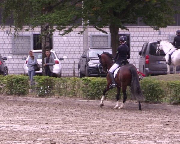 Reitturnier Olfen-Vinnum 2020
