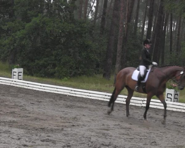 Reitturnier Wörmlitz 2020