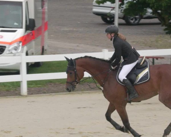 Reitturnier Leutkirch-Diepoldshofen 2020