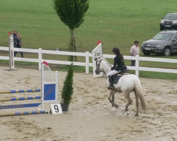 Reitturnier Leutkirch-Diepoldshofen 2020