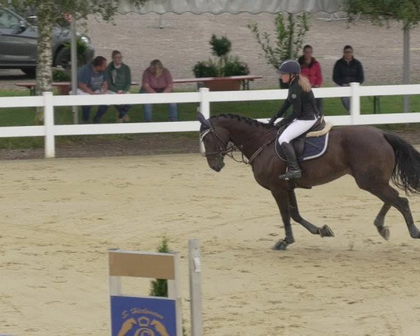 Reitturnier Leutkirch-Diepoldshofen 2020