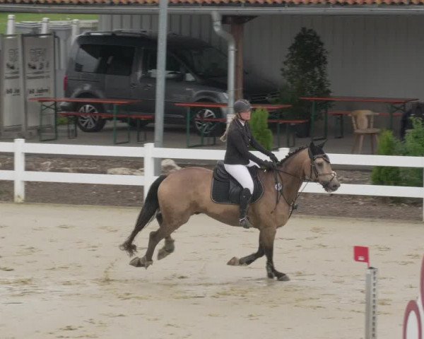 Reitturnier Leutkirch-Diepoldshofen 2020