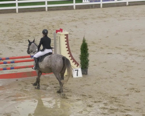 Equestrian Show Leutkirch-Diepoldshofen 2020