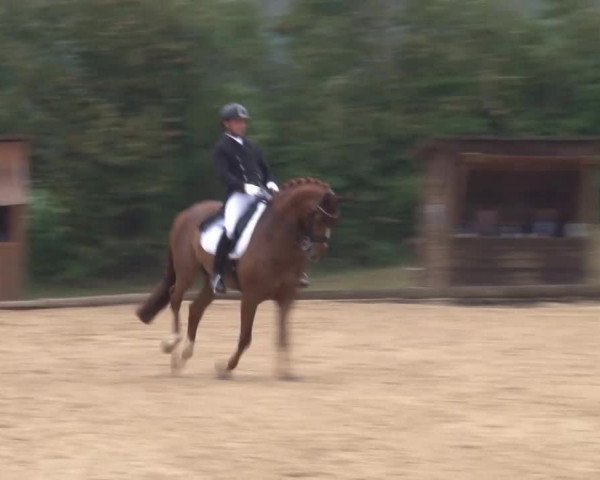 Reitturnier Brünst/Mfr. 2020