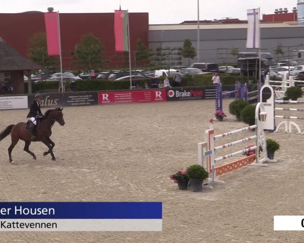 Jeugdfestival Lier 2020