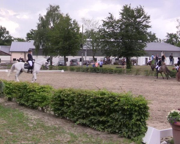 Reitturnier Olfen-Vinnum 2020