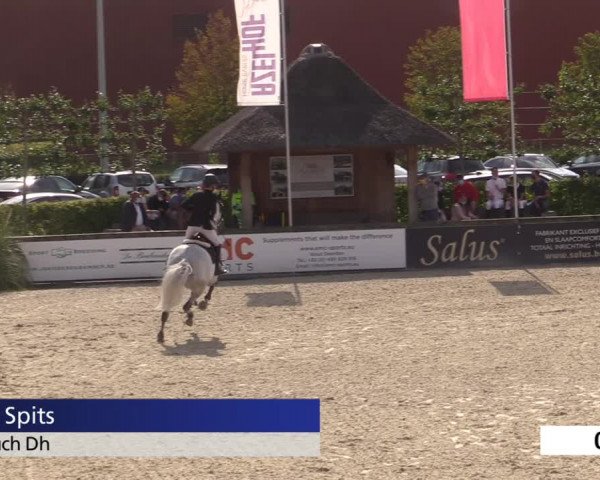 Jeugdfestival Lier 2020
