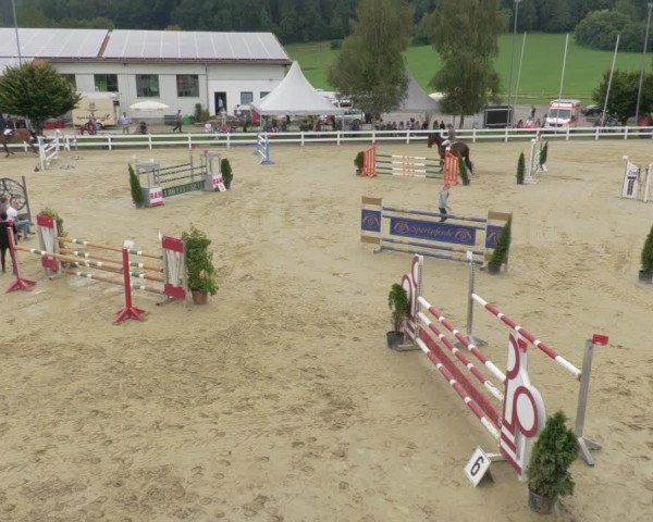 Reitturnier Leutkirch-Diepoldshofen 2020