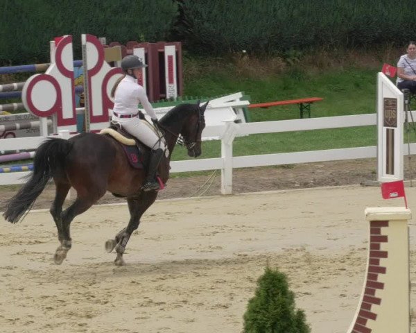 Reitturnier Leutkirch-Diepoldshofen 2020