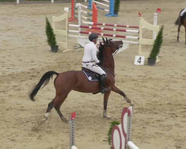 Reitturnier Leutkirch-Diepoldshofen 2020