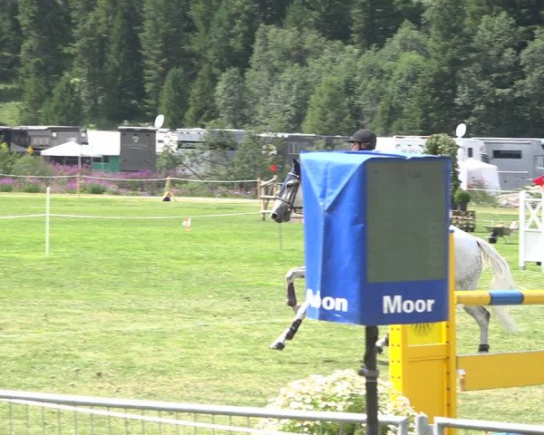 Reitturnier St. Moritz 2020