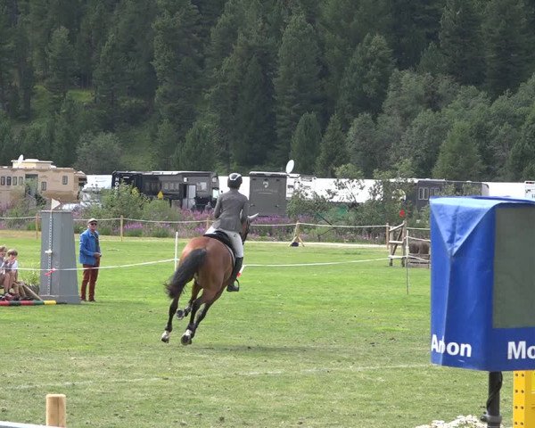 Reitturnier St. Moritz 2020