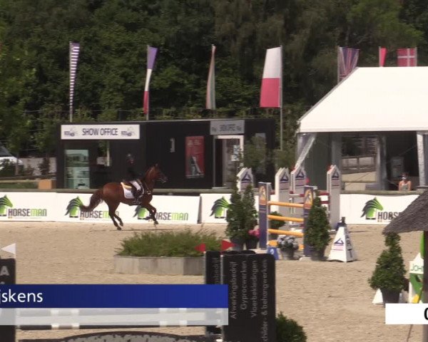 Jeugdfestival Lier 2020