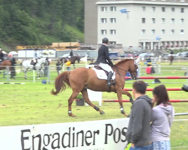 Reitturnier St. Moritz 2020