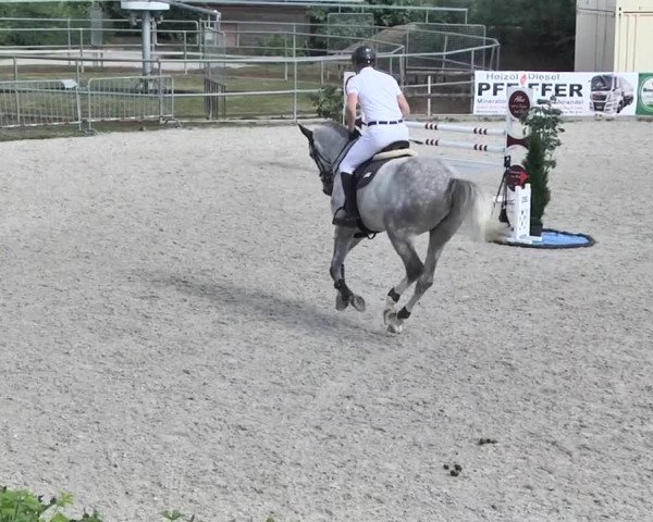 Reitturnier Worms-Pfeddersheim / Reitsportanlage Wittemer 2020