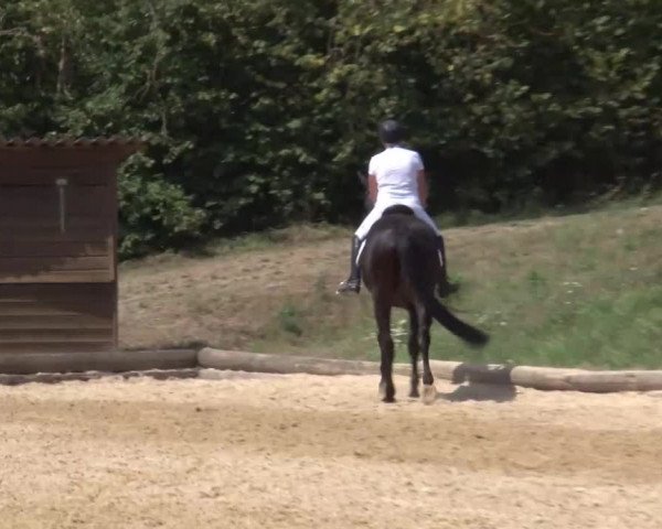 Reitturnier Brünst/Mfr. 2020