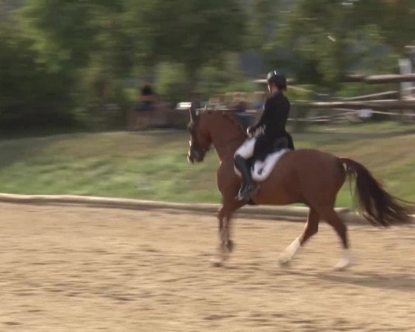 Reitturnier Brünst/Mfr. 2020