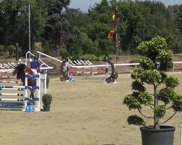 Reitturnier Bornheim-Widdig 2020